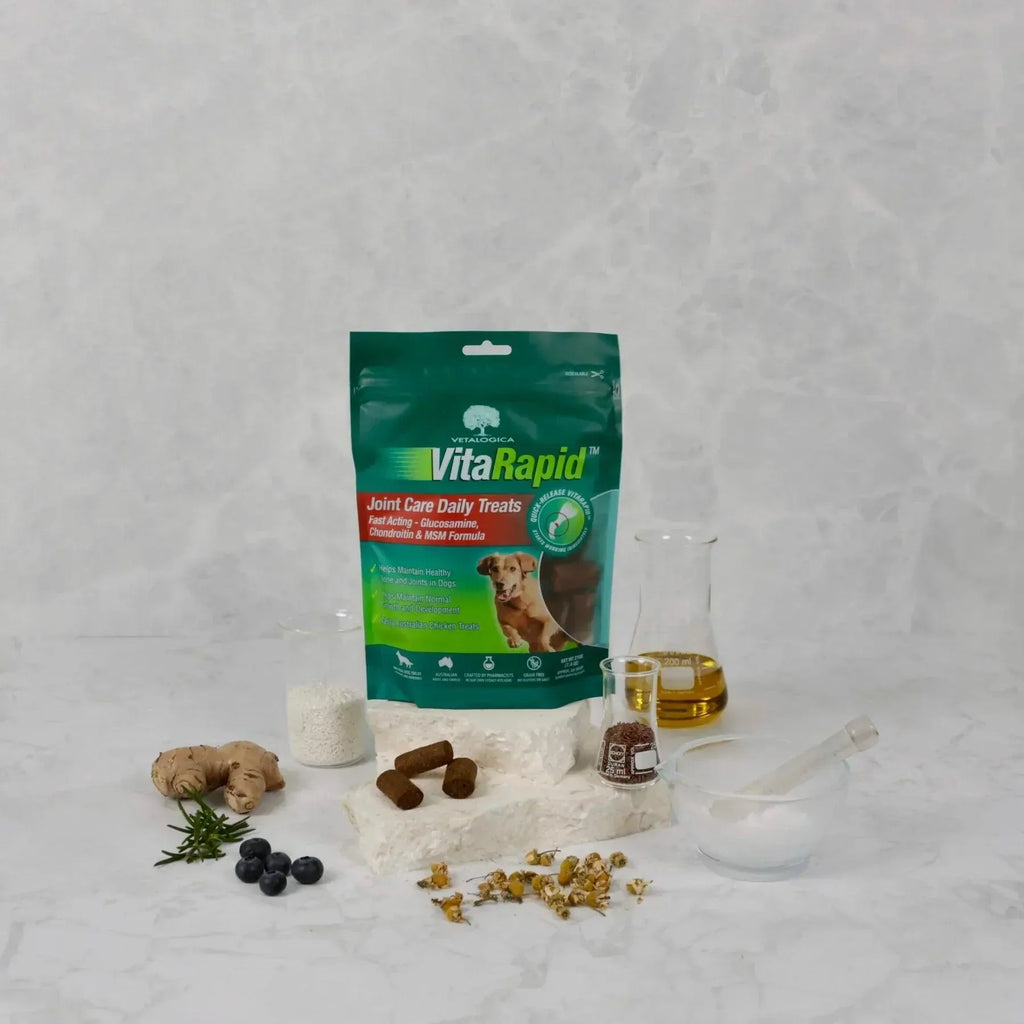 VitaRapid Joint & Arthritis Care for Dogs 210gm