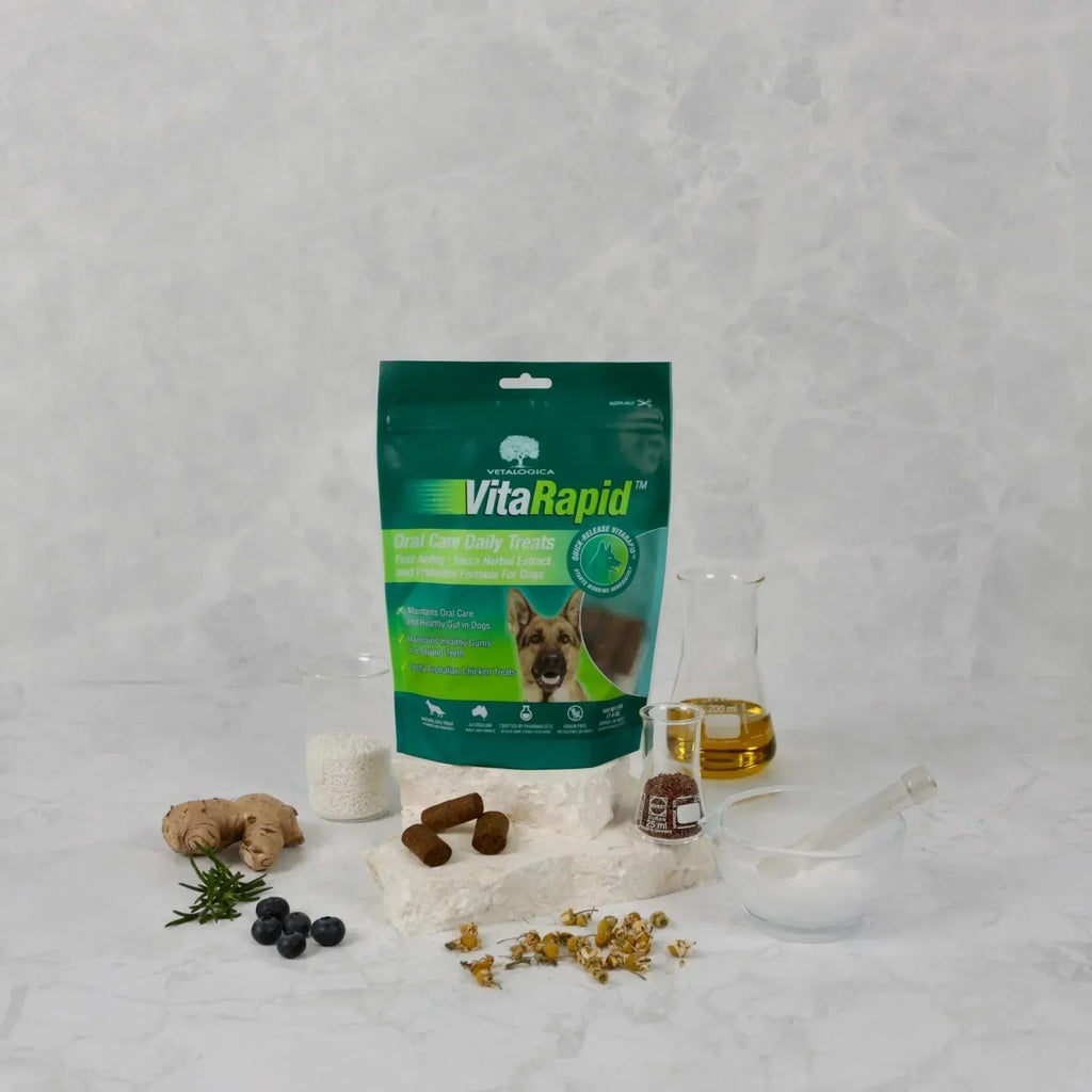 Vetalogica VitaRapid Oral Care for Dogs 210gm