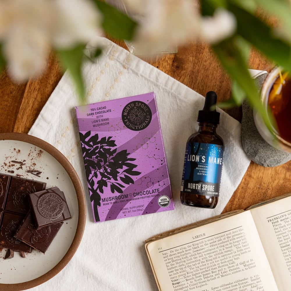 Lion's Mane Mushroom Tincture & Chocolate Wellness Set