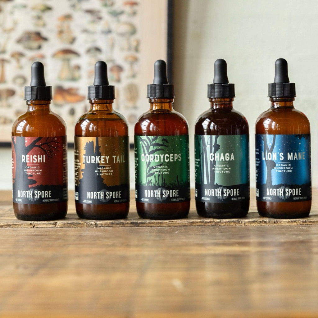 Mind & Body Mushroom Tincture Variety Pack (Small)