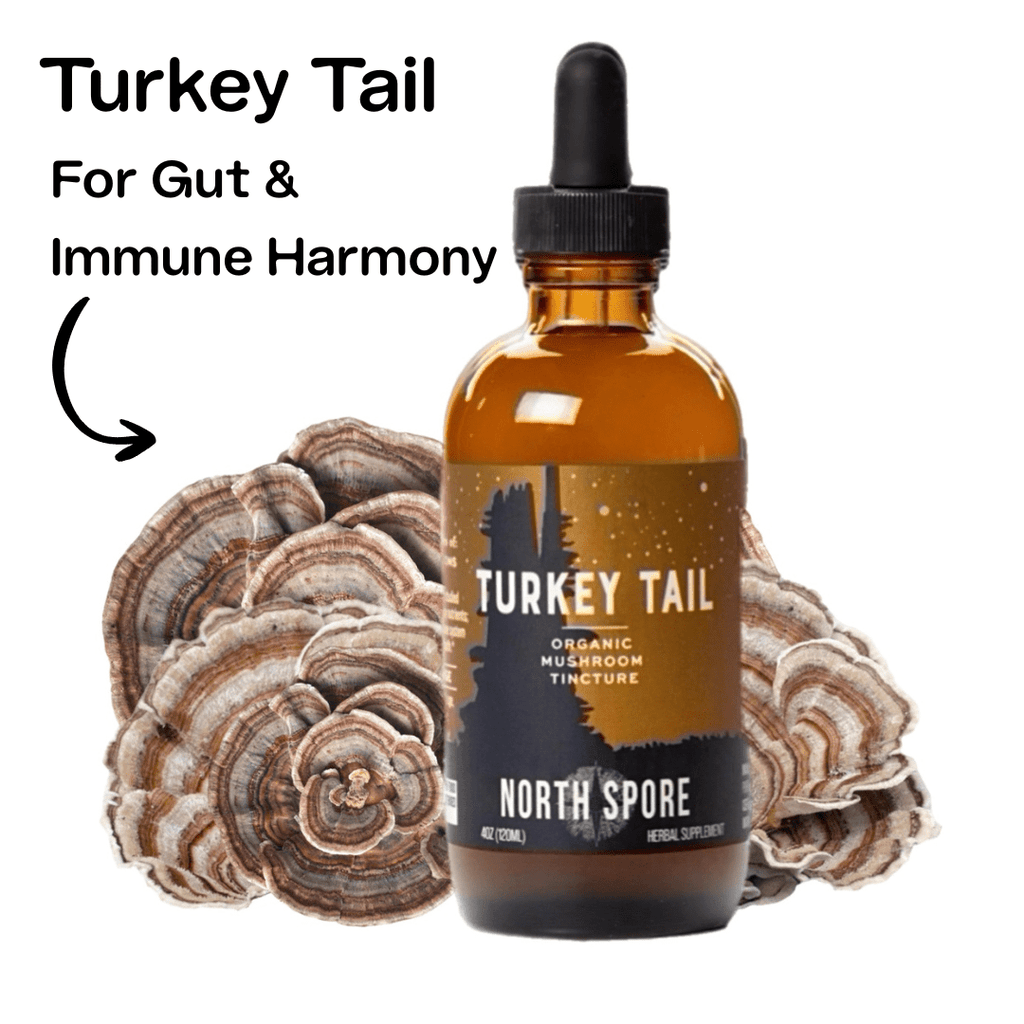 Mind & Body Mushroom Tincture Variety Pack (Large)
