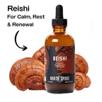 Mind & Body Mushroom Tincture Variety Pack (Large)