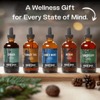 Mind & Body Mushroom Tincture Variety Pack (Large)