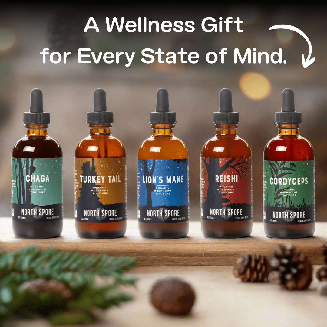Mind & Body Mushroom Tincture Variety Pack (Large)