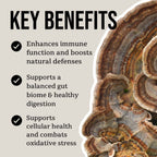 Mind & Body Mushroom Tincture Variety Pack (Small)