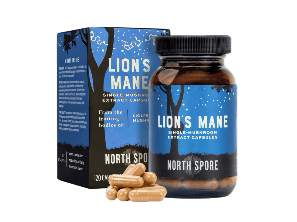 Mushroom Mornings Gift Bundle | Coffee & Lion's Mane for Focus, Energy & Balance