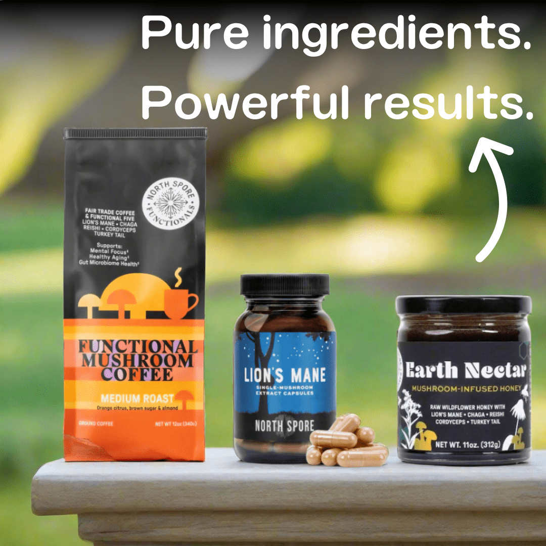 Mushroom Mornings Gift Bundle | Coffee & Lion's Mane for Focus, Energy & Balance