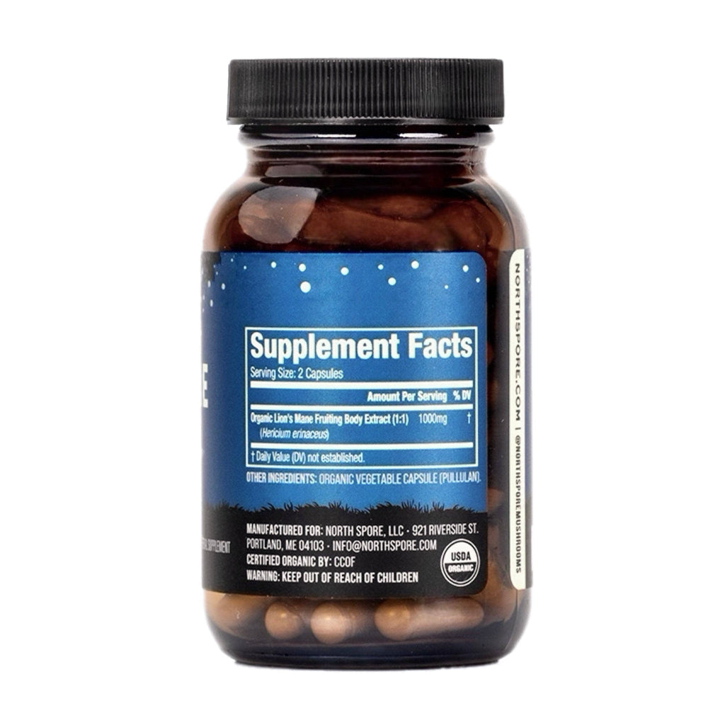 Mushroom Mornings Gift Bundle | Coffee & Lion's Mane for Focus, Energy & Balance