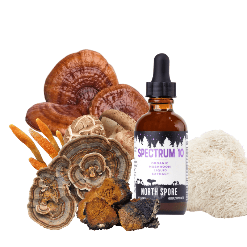 Organic Spectrum 10 Mushroom Blend Tincture
