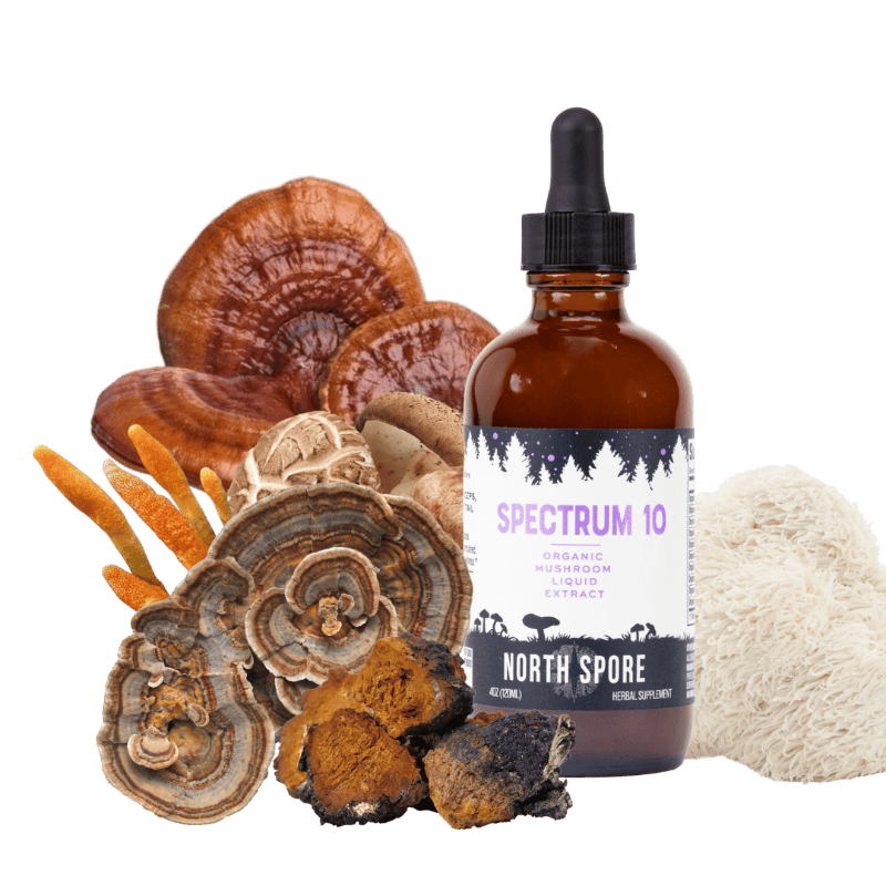 Organic Spectrum 10 Mushroom Blend Tincture
