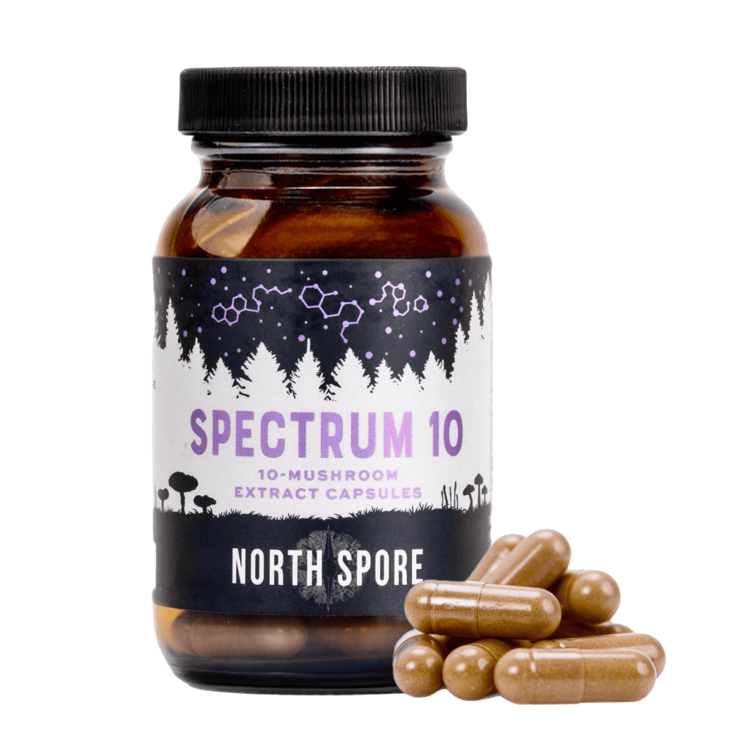 Organic 'Spectrum 10' Mushroom Capsules (120 ct)