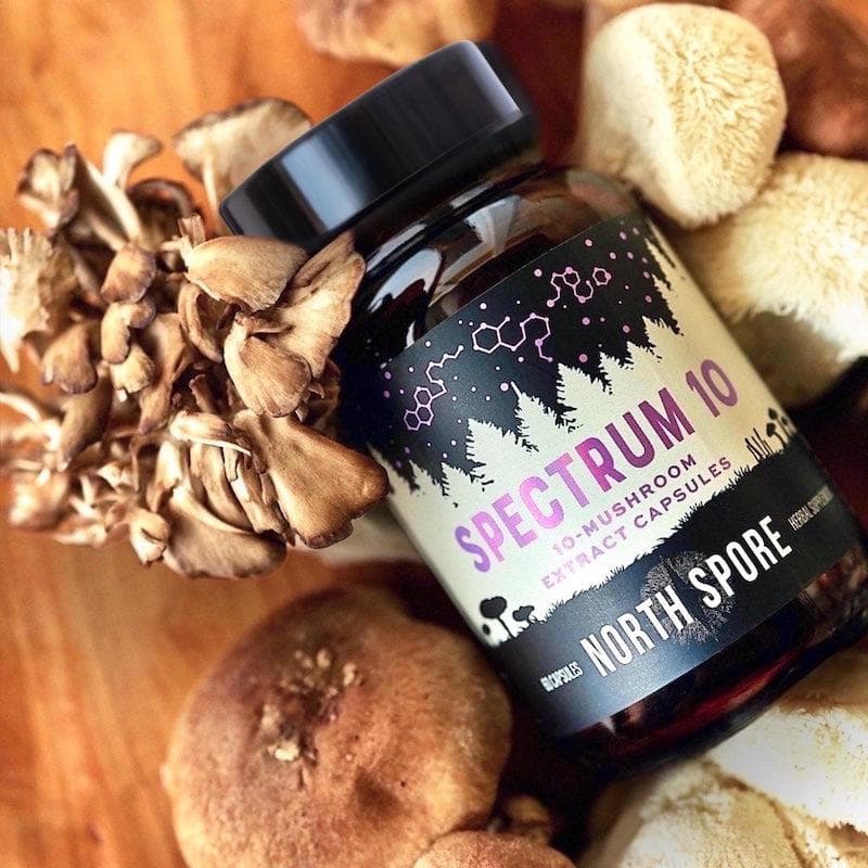 Organic 'Spectrum 10' Mushroom Capsules (High Potency)