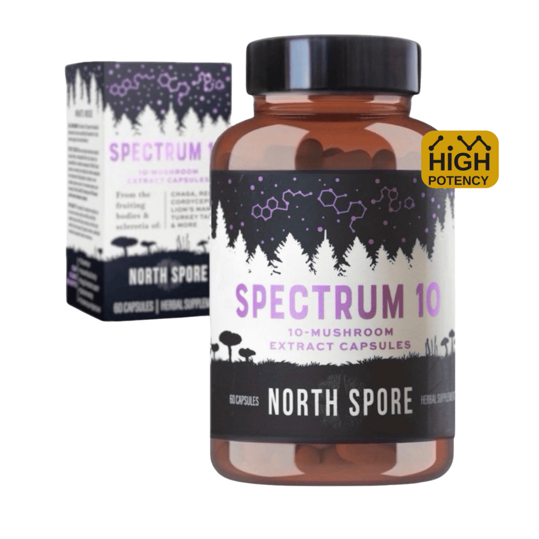Organic 'Spectrum 10' Mushroom Capsules (High Potency)