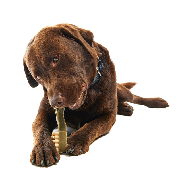 Whimzees Dental Dog Treats Variety Boxes - Alligator + Stix + Toothbrush