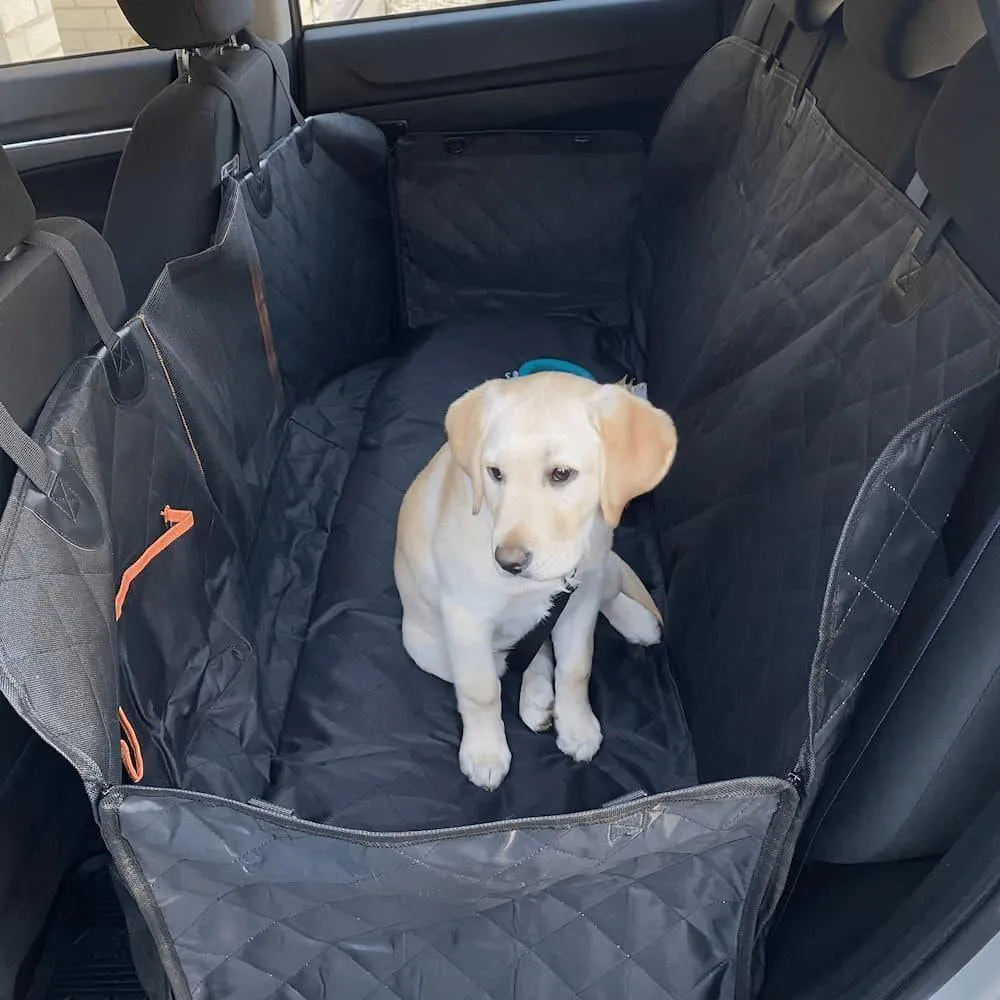 Pet Back Seat Cover
